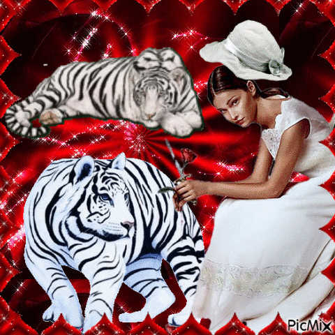 Tigre blanc - GIF animado gratis