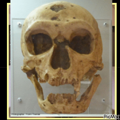 Néandertal/Denisovien archaïque - Nemokamas animacinis gif