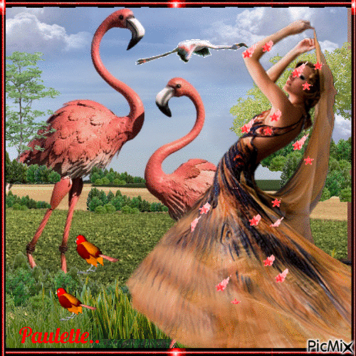 flamand rose et danseuse - Darmowy animowany GIF