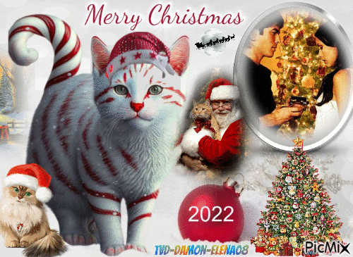 merry christmas delena noel 2022 - Ingyenes animált GIF