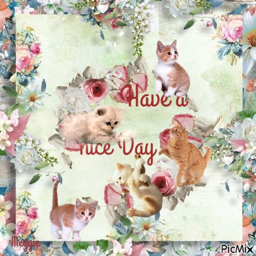 have a nice day - 無料png