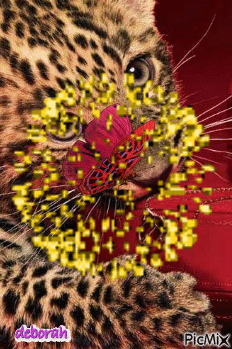 Desenez's Tiger - GIF เคลื่อนไหวฟรี