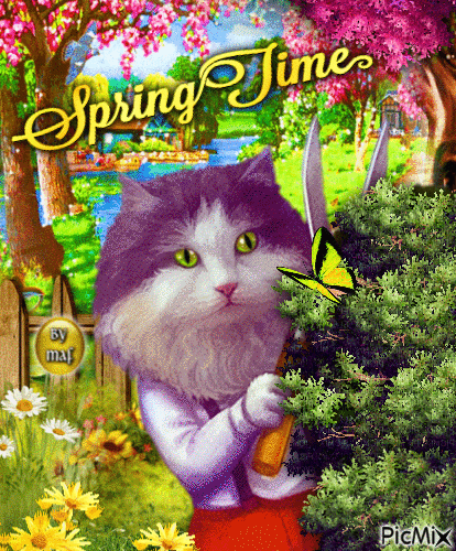 Spring Time - Δωρεάν κινούμενο GIF