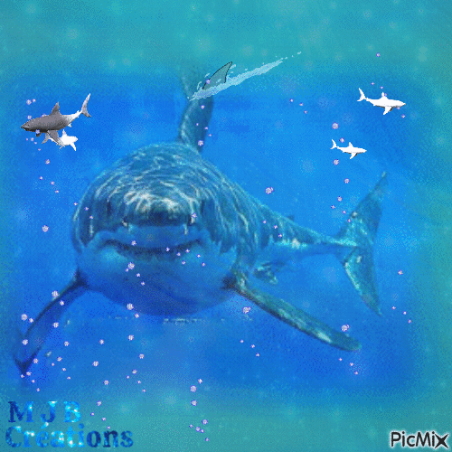 ..REQUIN ..M J B Créations - Free animated GIF