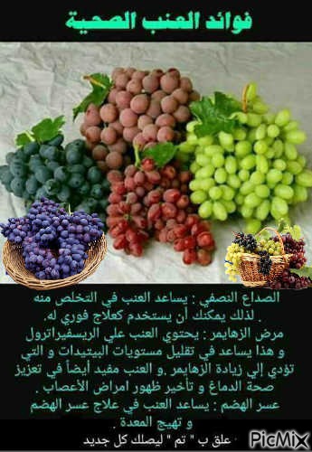 grapes - zdarma png