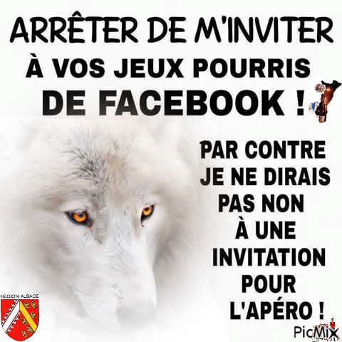 Loup blanc !! :) :) - PNG gratuit