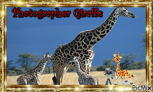 photographer giraffe - Gratis geanimeerde GIF