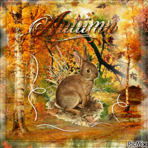 Herbst automne autumn - Zdarma animovaný GIF