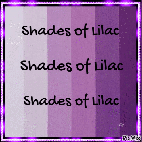 Shades of Lilac - Free animated GIF
