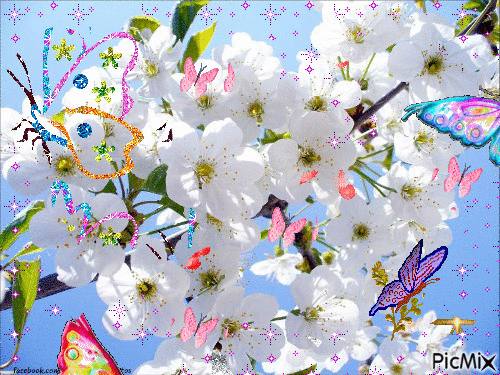 l'arbre aux papillons - Бесплатный анимированный гифка