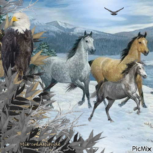 Aigles & chevaux - Besplatni animirani GIF