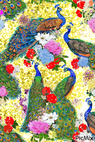 павлины в цветах - Nemokamas animacinis gif