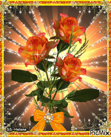 Orange roses. - GIF animado gratis