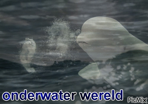 onderwater wereld - Безплатен анимиран GIF