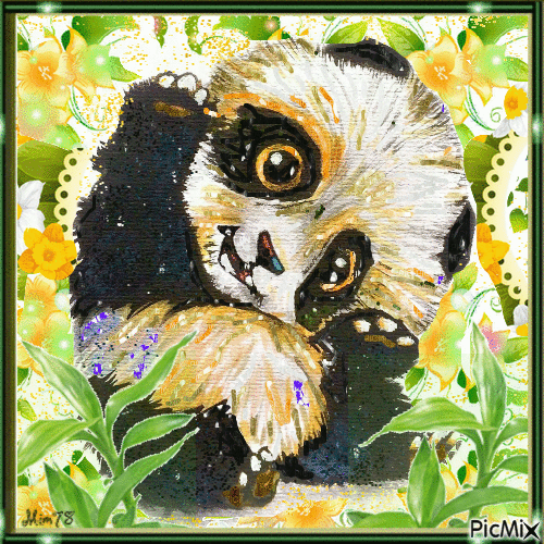 bébé panda et fleurs - Δωρεάν κινούμενο GIF