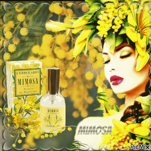 Parfum de Mimosa - Gratis animeret GIF