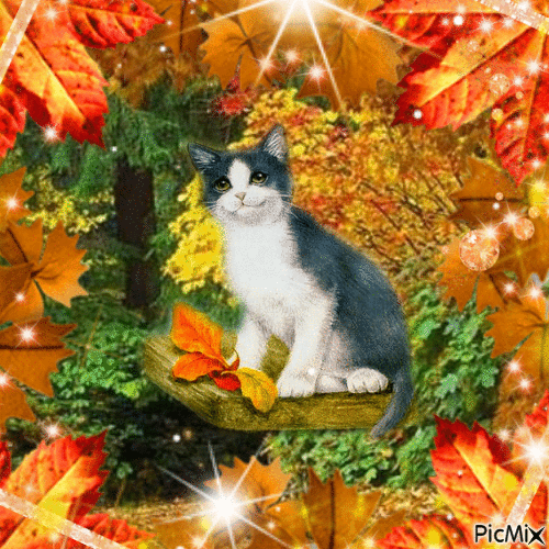 Cat ~ autumn - Bezmaksas animēts GIF