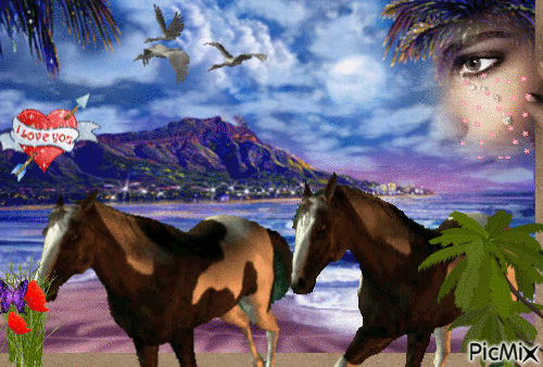 HER HORSE - Besplatni animirani GIF