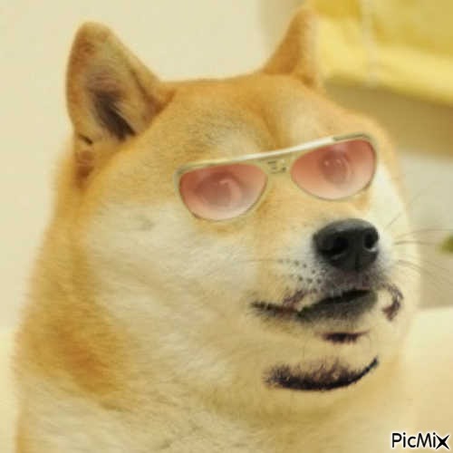 dogii - Free PNG