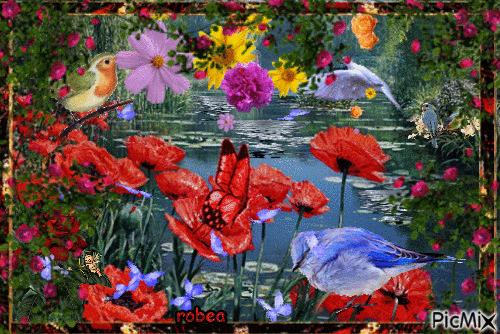 Fleurs et oiseaux - Free animated GIF