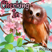 Checking In - Free animated GIF