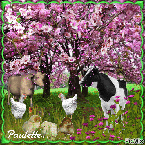 cerisiers au printemps - Ingyenes animált GIF