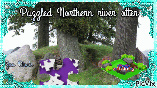Puzzled Northern river otter - Zdarma animovaný GIF