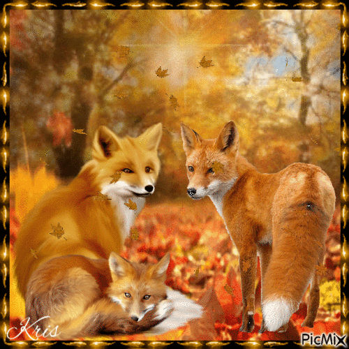 Le renard en l'automne - GIF animasi gratis