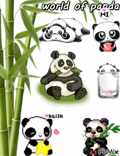 monde du panda - Zdarma animovaný GIF