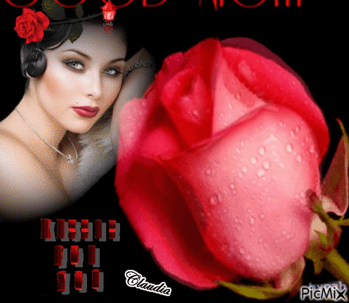 Kisses For  You Red Rose - Besplatni animirani GIF