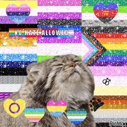 Pride Month Manul Cat - GIF animé gratuit