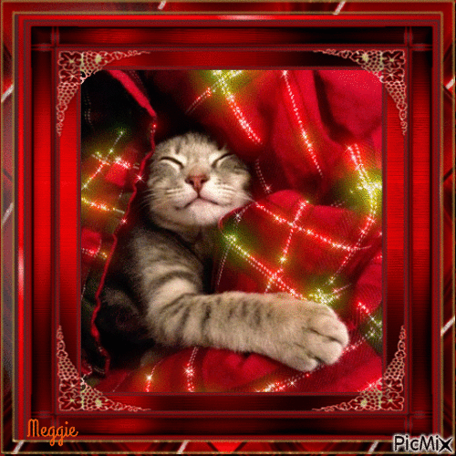sleep well cat - GIF animado gratis