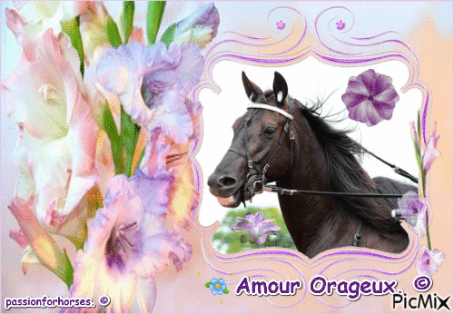 Le champion Amour Orageux. © - 無料のアニメーション GIF