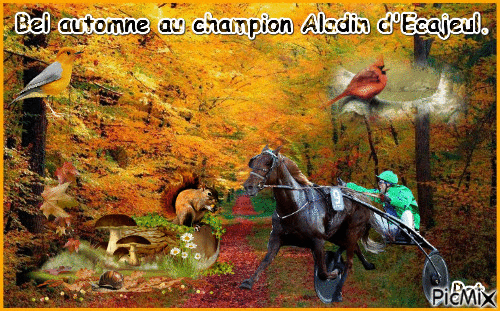 Le champion Aladin d'Ecajeul. - Бесплатный анимированный гифка