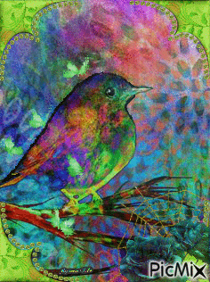L'oiseau du paradis - Besplatni animirani GIF