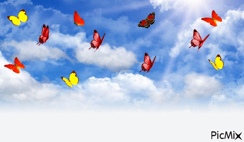 бабочки - Ingyenes animált GIF