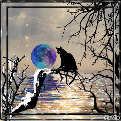 La luna y el gato - Ilmainen animoitu GIF