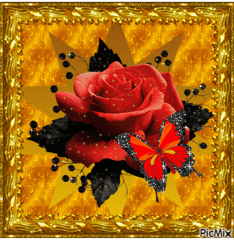 1 Red rose. - Darmowy animowany GIF