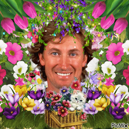 Wayne Gretzky (2) - Nemokamas animacinis gif