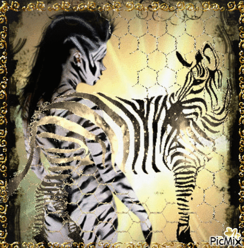 Concours "Zebras" - GIF animado grátis