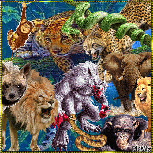 Werewolf in the Jungle - Gratis geanimeerde GIF
