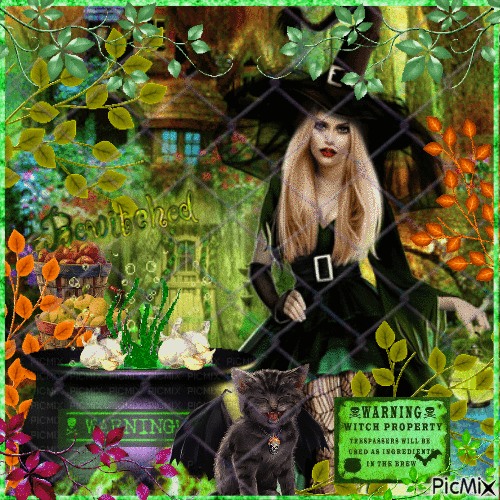 Witch - Free animated GIF