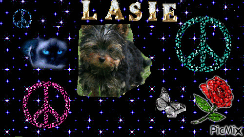 chere Lasie - Animovaný GIF zadarmo