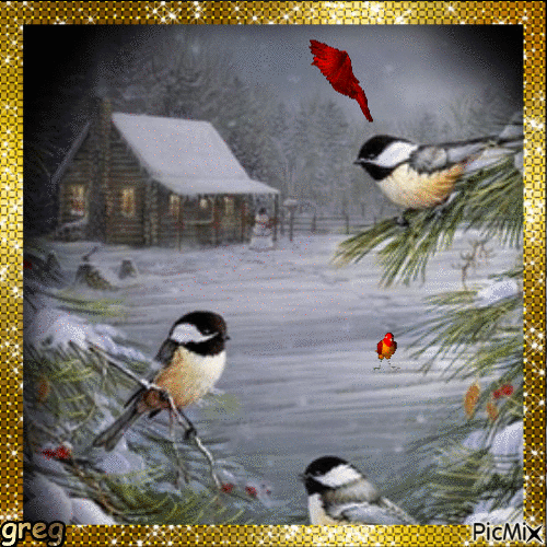 les oiseaux de l' hiver - Nemokamas animacinis gif