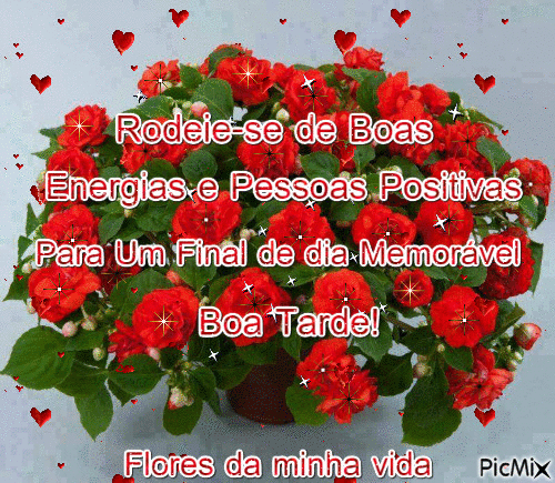 Boa Tarde! Com Rosas - 無料のアニメーション GIF