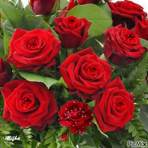 rose rouge - Ingyenes animált GIF