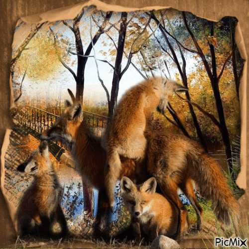 Der Fuchs im Herbst - Gratis animeret GIF