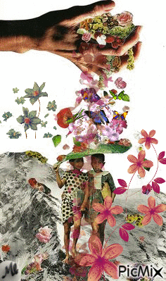 Llovían flores - GIF animado grátis