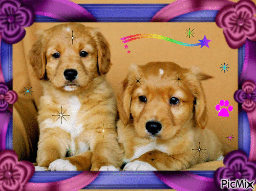 2 petits chiens mignons - Бесплатный анимированный гифка