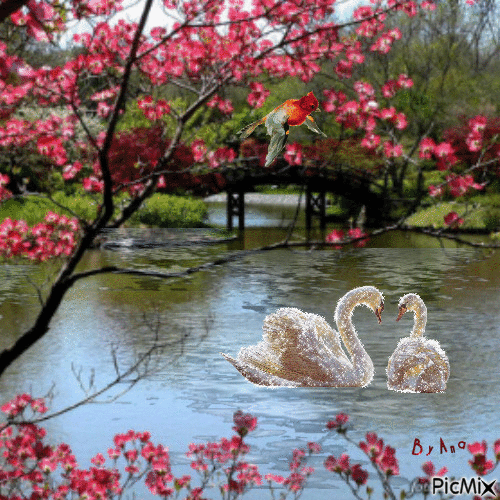 lago dos cisnes - GIF animado grátis
